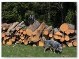 IMG_9611-001