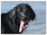 suvi2009 044