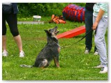 Agility päev 2013